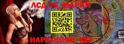 крисы Беслан