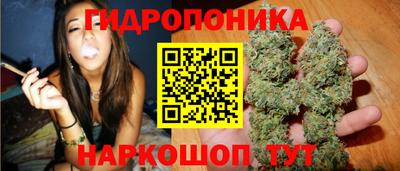 крисы Беслан